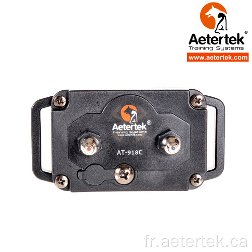 Aetertek AT-918C collier de choc nemobub
